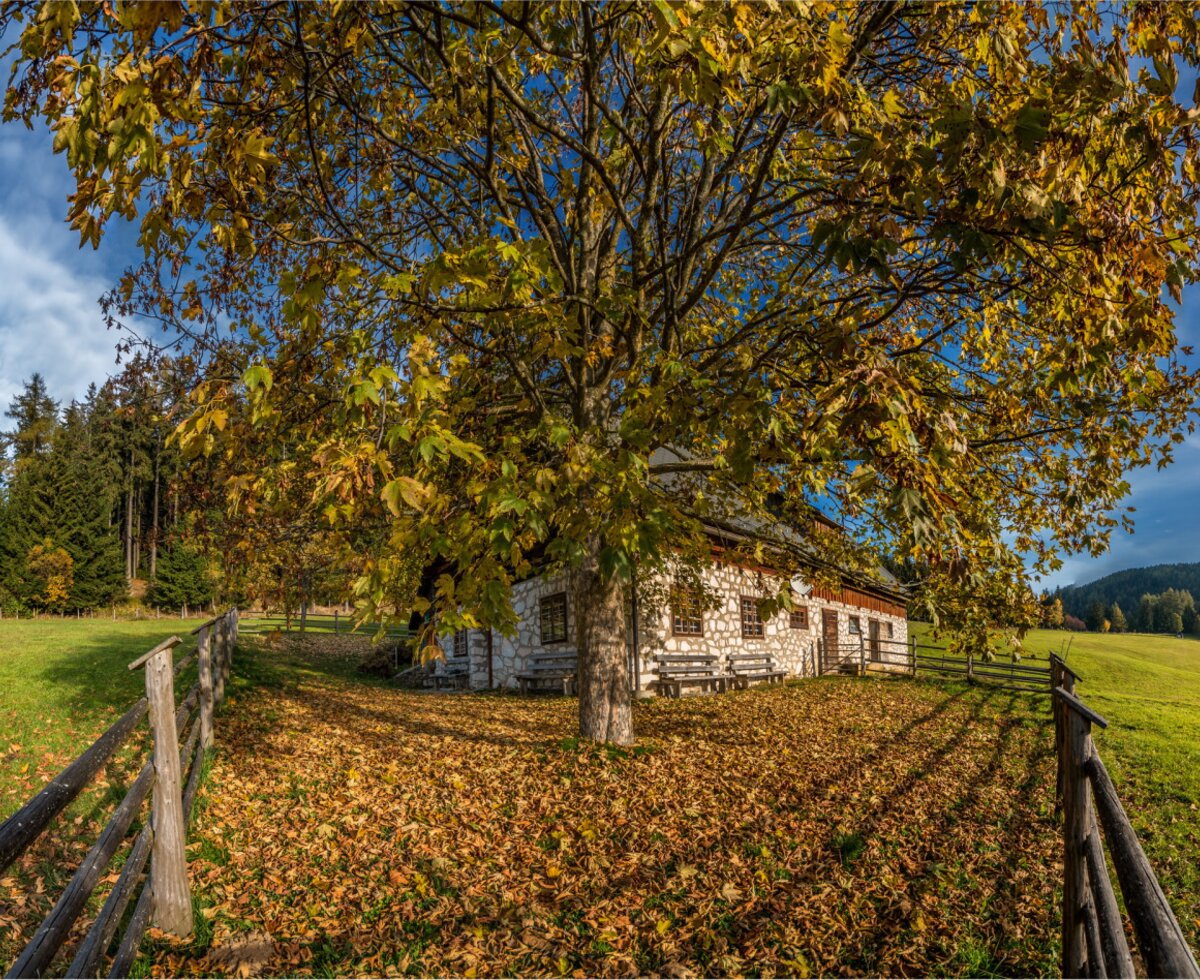 Herbst in Kaltstuben