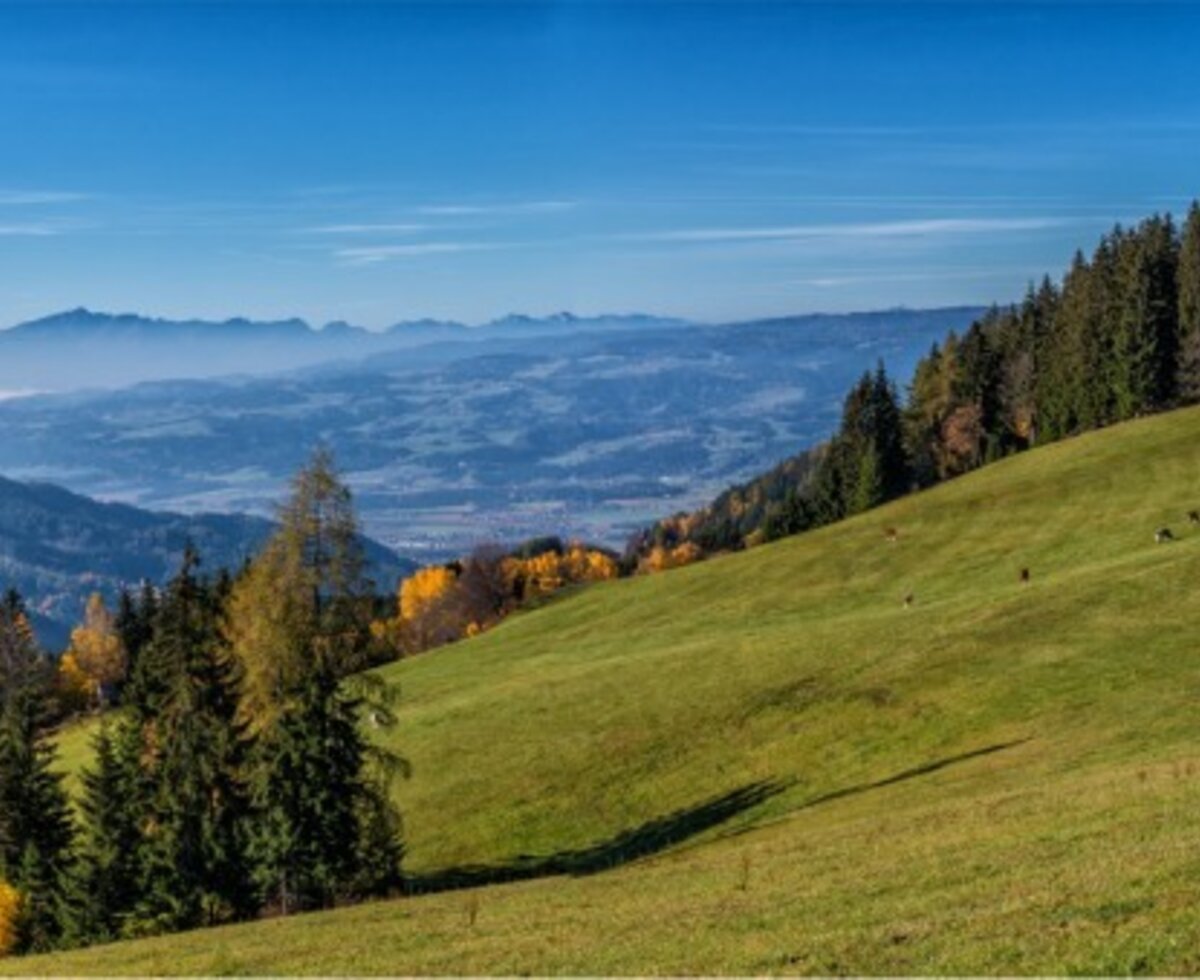 Panorama