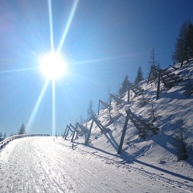 Ein schneebedeckter Weg an einem sonnigen Wintertag, mit Lawinenschutzgittern am Hang, bietet Möglichkeiten für Ausflüge vom Bauernhof aus.