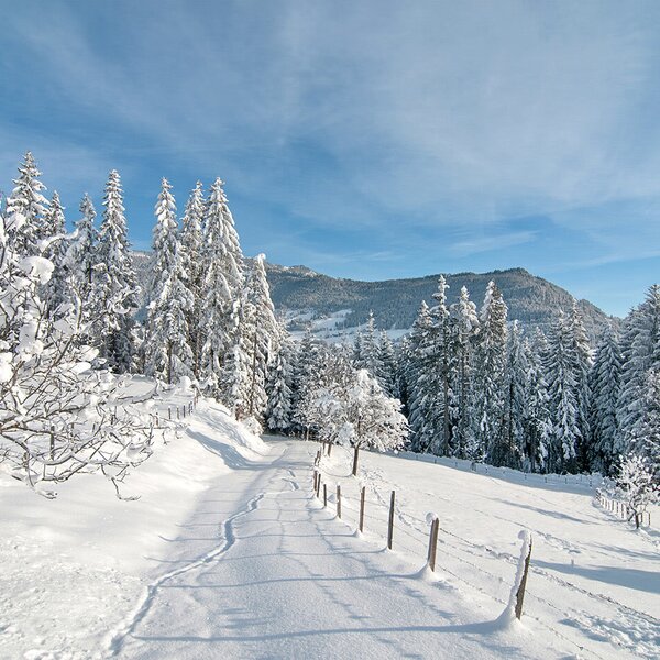 Winterlandschaft