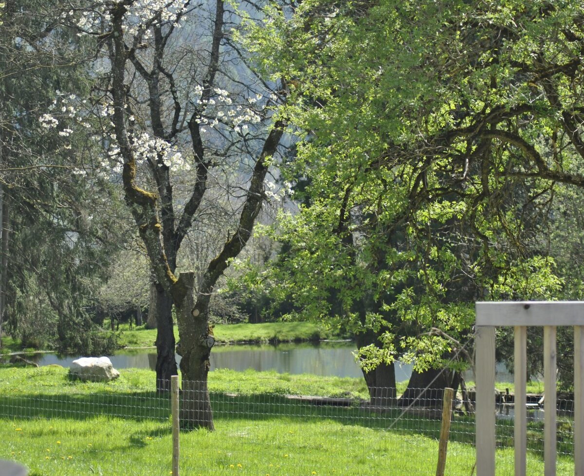 Chalet1888 UmgebungTeiche