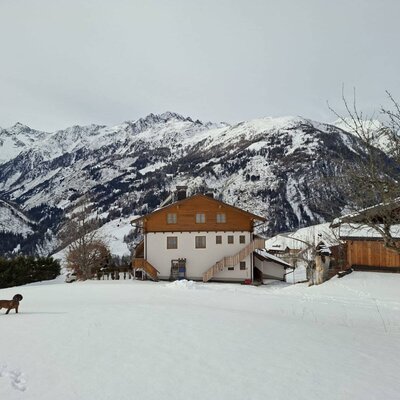 Der Bauernhof in einer verschneiten Berglandschaft mit einem Hund im Vordergrund.