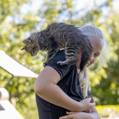 Katze Lily hat Spass!