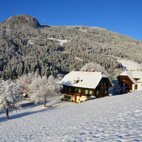 Der Hof im Winter