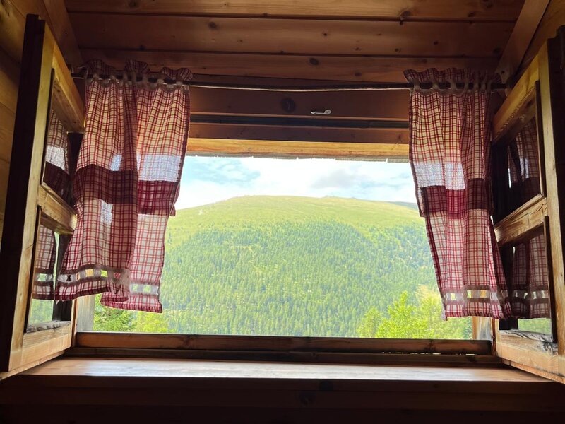 Das offene Fenster der Alm mit rot-weiß karierten Vorhängen und Blick auf bewaldete Hügel.