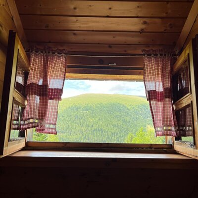 Das offene Fenster der Alm mit rot-weiß karierten Vorhängen und Blick auf bewaldete Hügel.