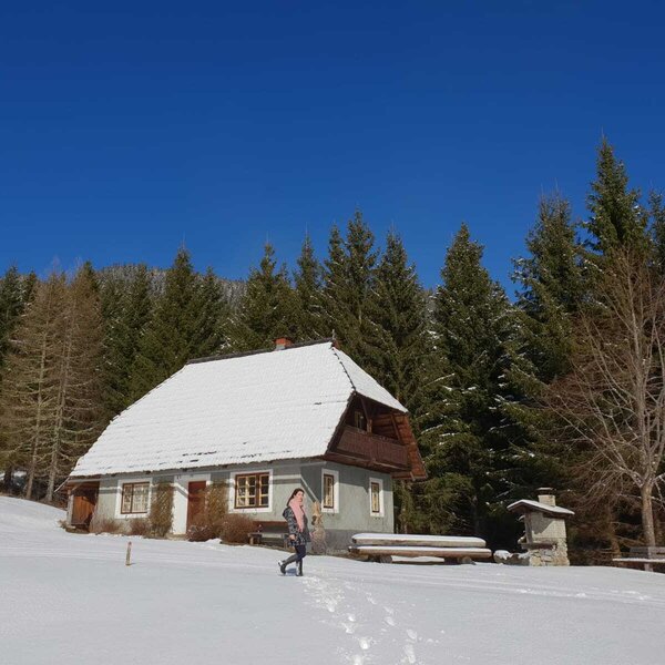 Spaziergang im Winter