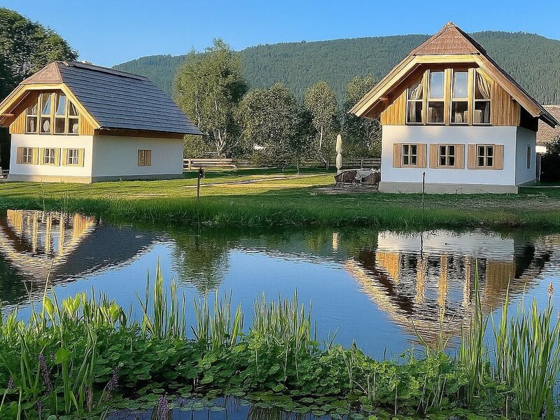 Ferienhaus am Teich
