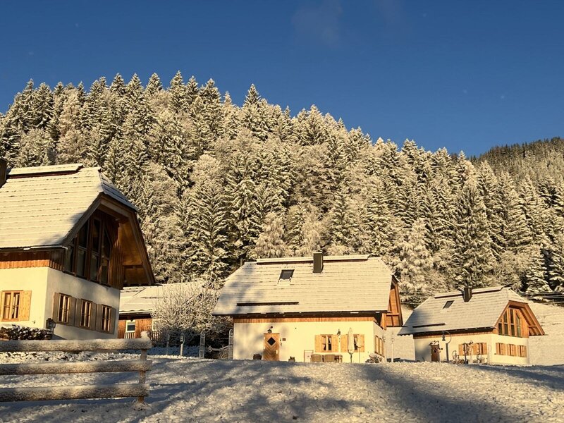 Der Bauernhof im Winter, mit schneebedeckten Dächern und einem verschneiten Wald im Hintergrund.