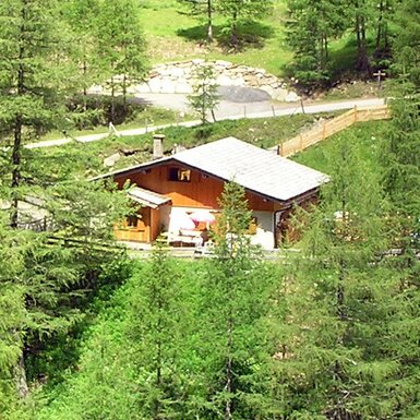 Die Alm, ein Holzhaus inmitten von Bäumen, mit einer Terrasse und rotem Sonnenschirm.