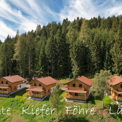 Die Ferienwohnungen des Bauernhofs als separate Holzhäuser am Waldrand gelegen.