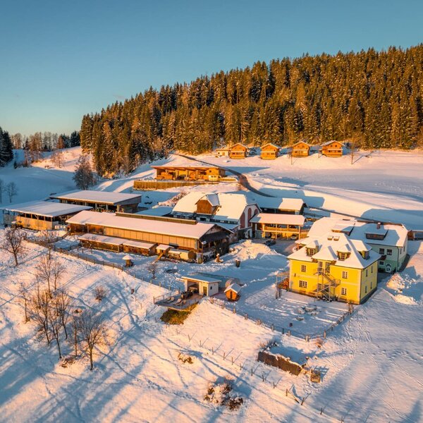 Erlebnisbauernhof Steinerhof im Winter