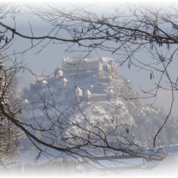 Blick auf eine schneebedeckte Burg auf einem Hügel in der winterlichen Umgebung des Bauernhofs.