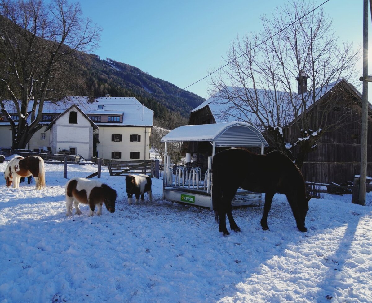 Pferde und Ponys grasen im verschneiten Hof des Bauernhofs, mit den Bauernhofgebäuden und Bergen im Hintergrund.