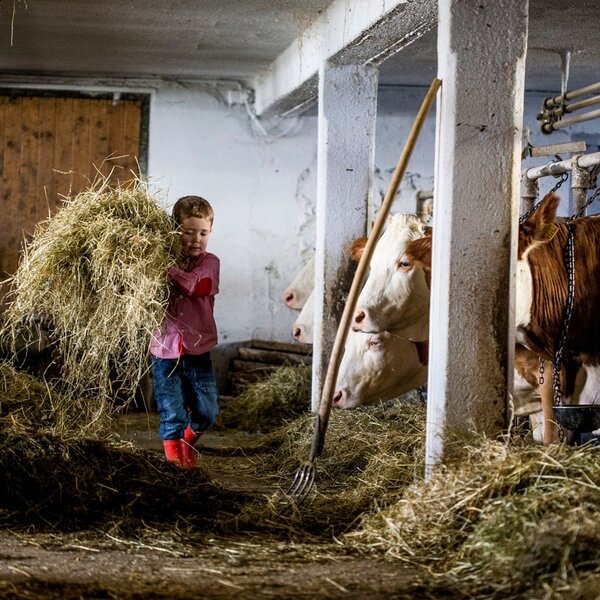 Kinder helfen fleißig beim Füttern
