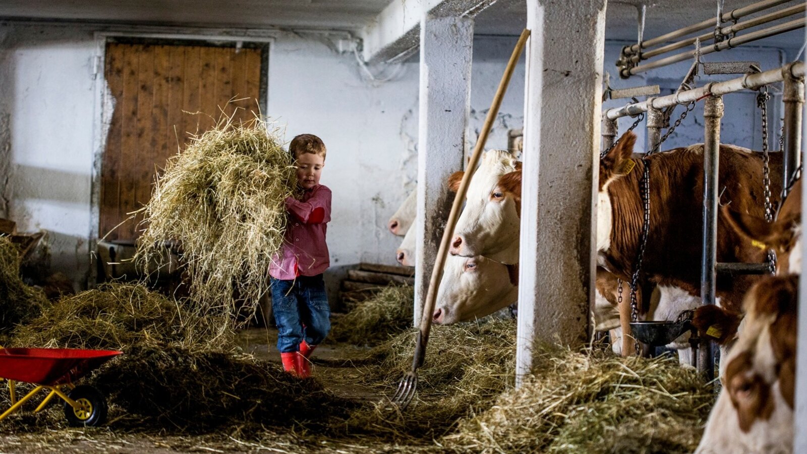 Kinder helfen fleißig beim Füttern
