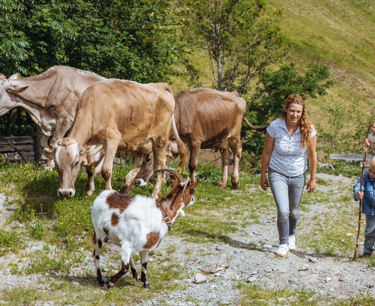 Eine Familie beim Spaziergang auf dem Bauernhof, umgeben von Kühen und einer Ziege.