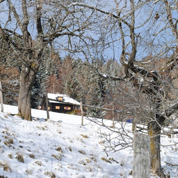 Die Alm ist eine Holzhütte auf einem verschneiten Hang, umgeben von Bäumen und Wald, mit beleuchteten Fenstern.