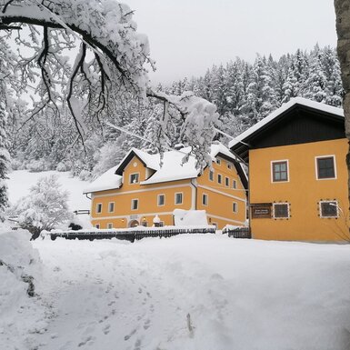 Der gelbe Bauernhof mit schneebedecktem Dach, umgeben von verschneiten Bäumen in der Winterlandschaft.