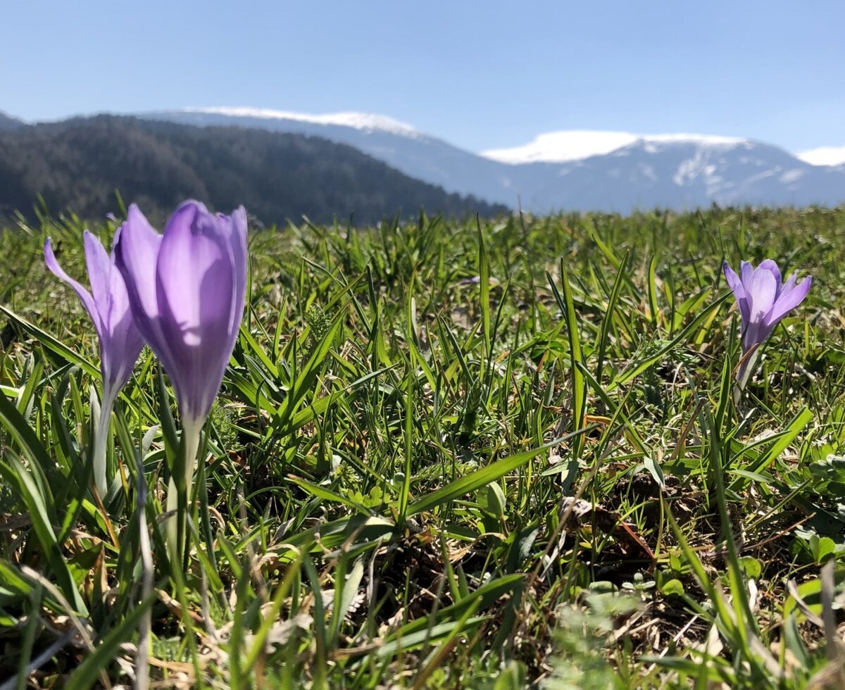 Frühling erleben am Bauernhof
