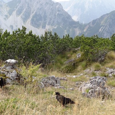 Sommerwandern (3)