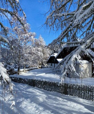 Das Ferienhaus im Winter, umgeben von schneebedeckten Bäumen.