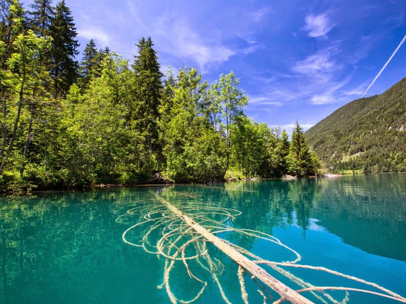 Blick vom Bauernhof auf den See mit klarem, türkisfarbenem Wasser und die umliegenden bewaldeten Berge.