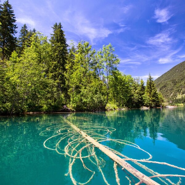 Blick vom Bauernhof auf den See mit klarem, türkisfarbenem Wasser und die umliegenden bewaldeten Berge.