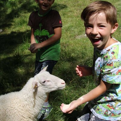 Zwei Kinder füttern im Freien ein Schaf auf dem Bauernhof.