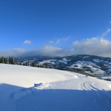 Trippolthof_hintermHaus