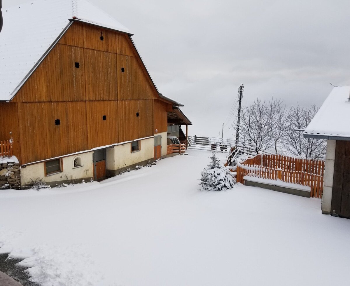 Der verschneite Außenbereich des Bauernhofs mit seinem hölzernen Hauptgebäude und umliegenden Bereichen.