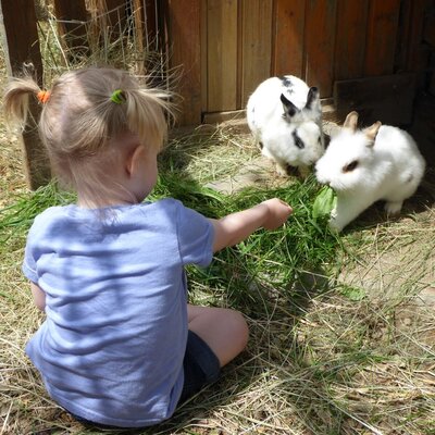 Trippolthof_Kaninchenfütterung