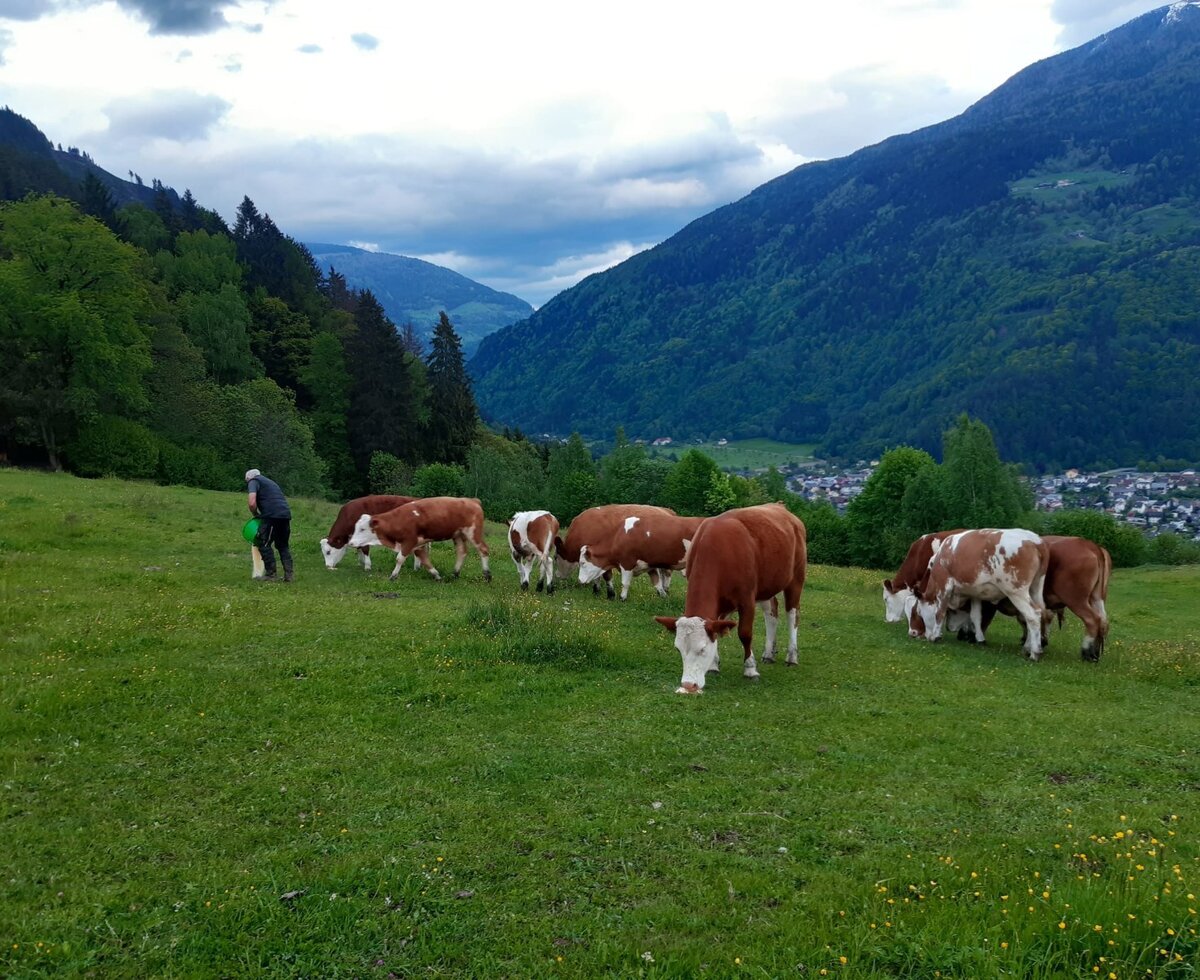 endlich Frühling - endlich draußen!
