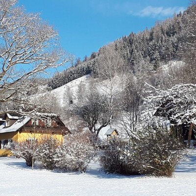 Der Bauernhof in einer verschneiten Winterlandschaft mit Bäumen und einer bewaldeten Anhöhe.
