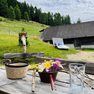 Platz vor der Almhütte - zum Chillen und Grillen