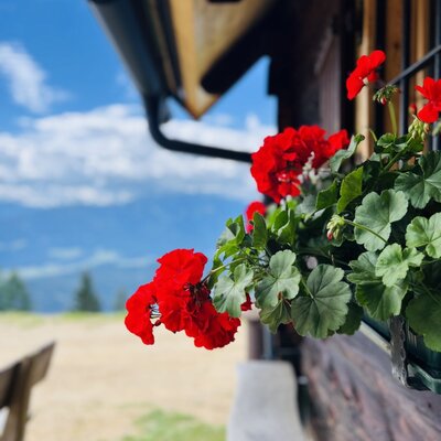 In diesem Jahr mit Blumen