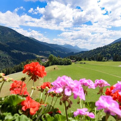 Die herrliche Aussicht vom Bauernhof auf die grünen Wiesen und die beeindruckende Lesachtaler Bergwelt, eingerahmt von bunten Geranien.