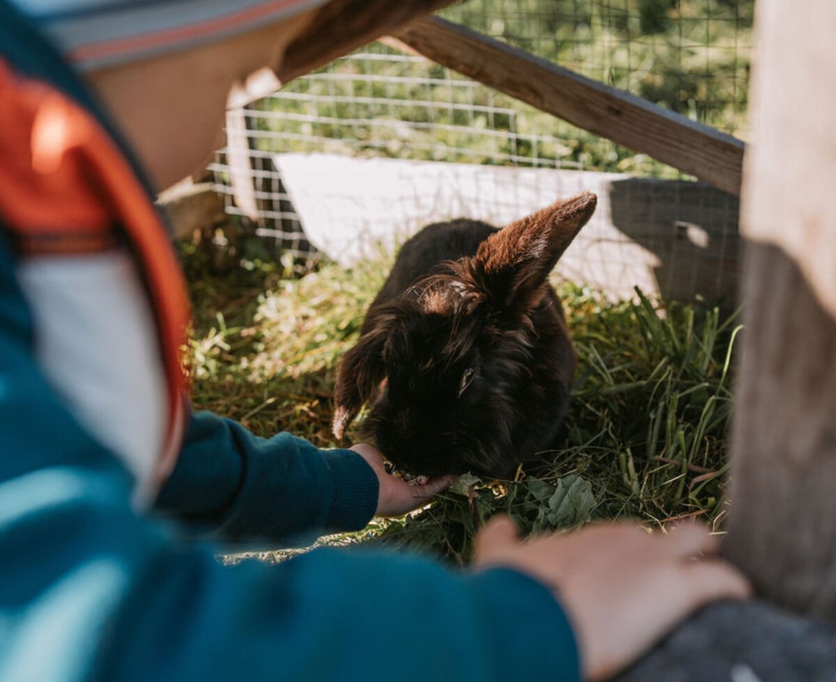 Kinder füttern gerne unsere Kaninchen