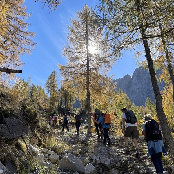 Eine Gruppe Wanderer auf einem felsigen Pfad durch goldene Lärchenwälder mit Bergblick.