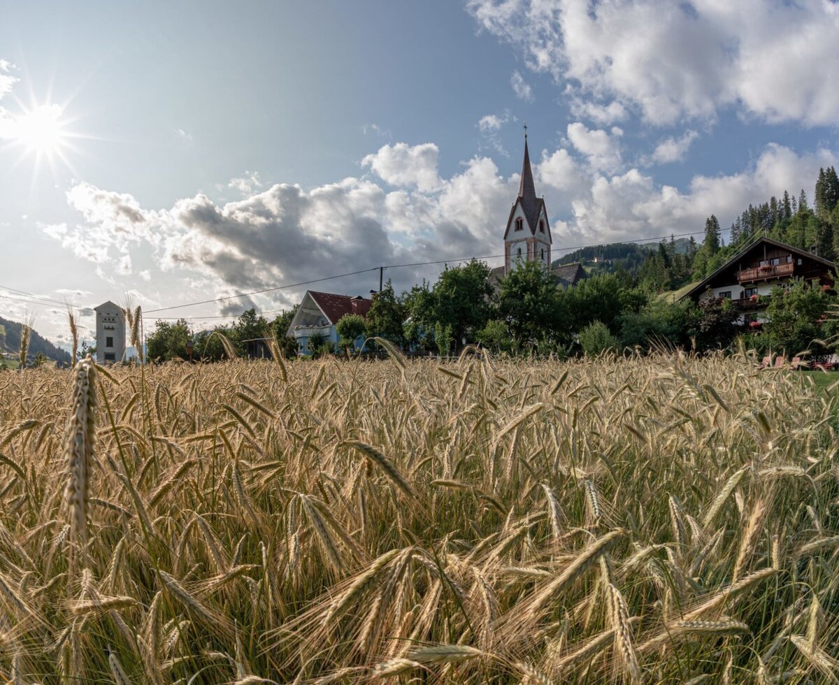 Getreidefeld in der ländlichen Umgebung des Bauernhofs mit Dorf, Kirchturm und Bergen im Hintergrund.