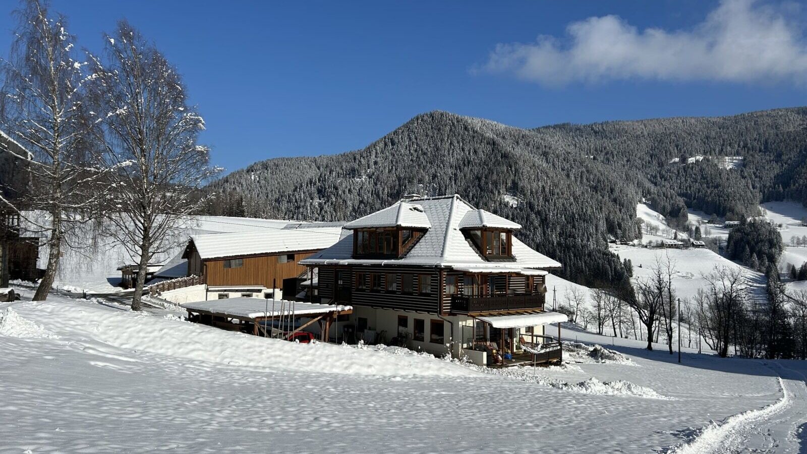 Unser Hof mit Schlittenspur
