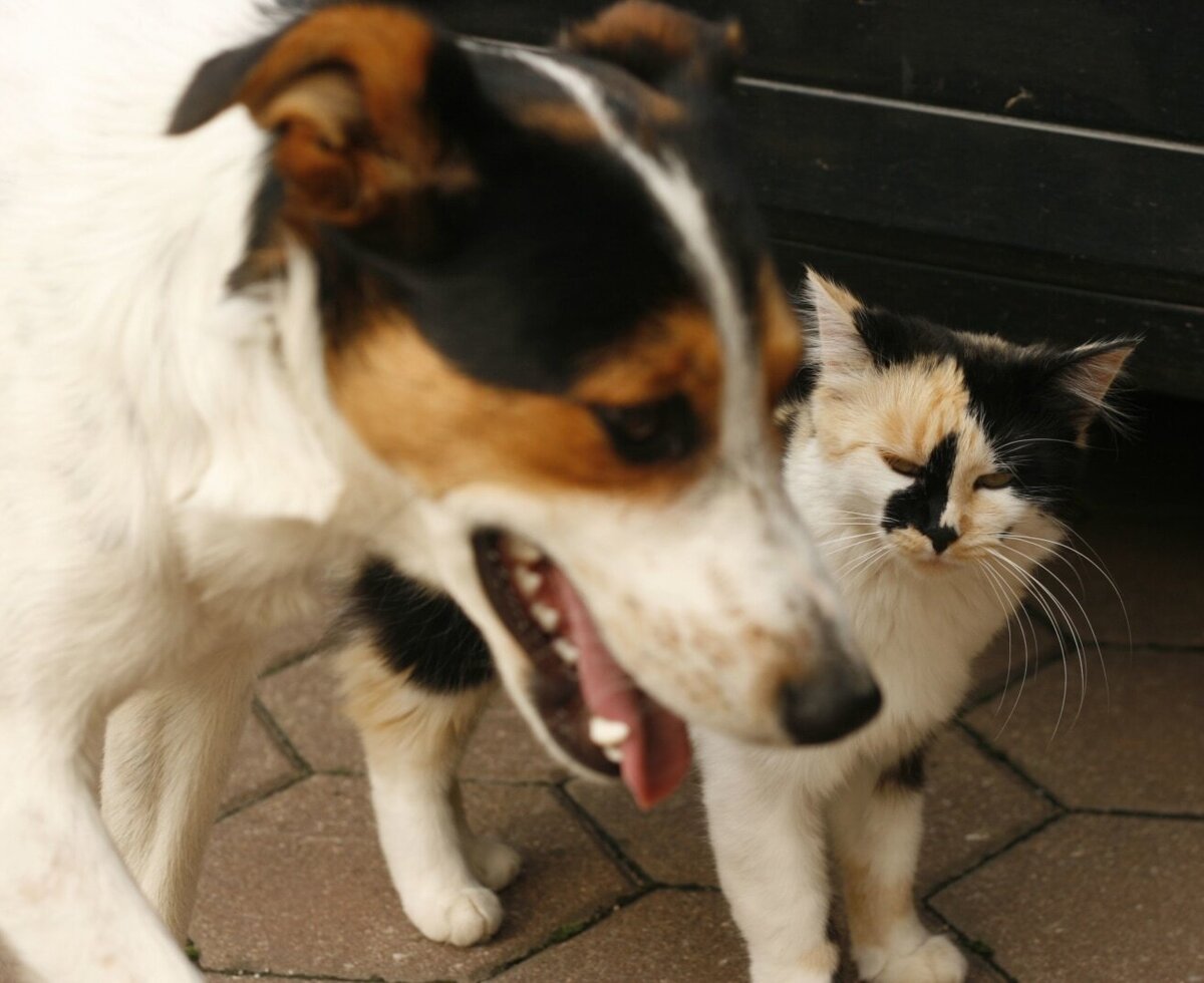 Semi und Mia