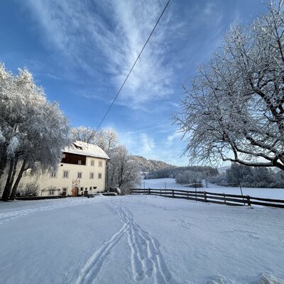Der historische Bauernhof im winterlichen Gewand, umgeben von verschneiten Wiesen und Bäumen unter blauem Himmel.