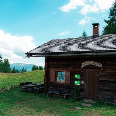 Die Alm mit Holzverkleidung, Holzschindeldach, dem Namen "HANSLERHÜTTE", einem Picknicktisch im Grünen und Bergblick.