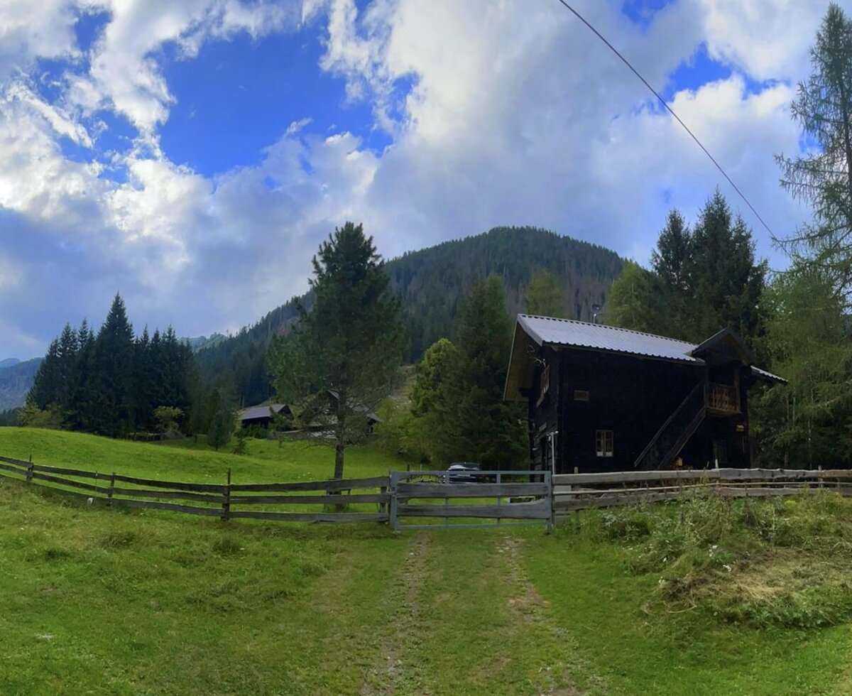 Eine urige Alm inmitten grüner Wiesen, umgeben von dichten Nadelbäumen und sanften Berghängen.