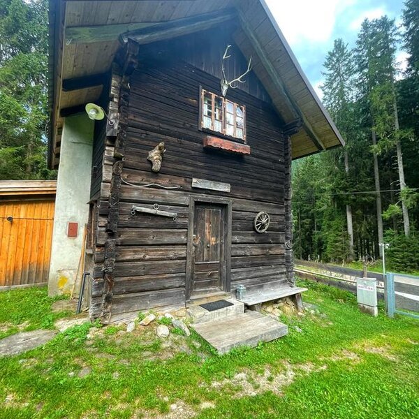Eine urige Alm mit traditioneller Holzfassade, umgeben von einer grünen Wiese und dichten Wäldern.