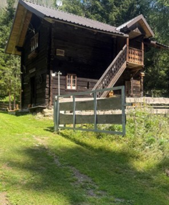 Eine urige Alm aus dunklem Holz, umgeben von einer grünen Wiese und idyllischen Bergwäldern.