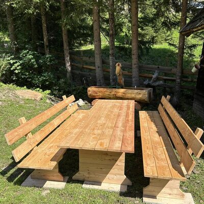Ein einladender Sitzbereich im Freien der Alm mit einer rustikalen Holzgarnitur und einem Brunnen vor schattenspendenden Bäumen.