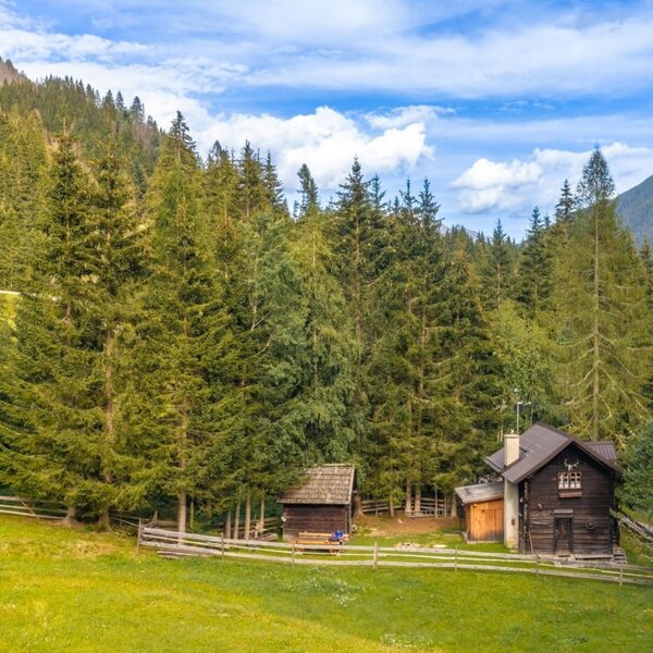 Eine urige Alm auf einer idyllischen Lichtung, umgeben von dichtem Nadelwald und sanften Berghängen.