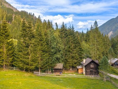 Eine urige Alm auf einer idyllischen Lichtung, umgeben von dichtem Nadelwald und sanften Berghängen.